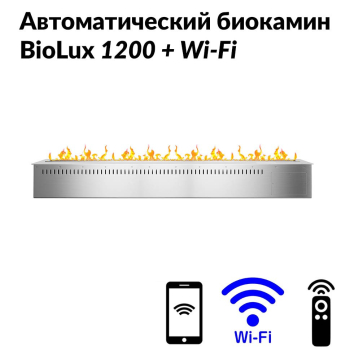 Наша работа с заказом на автоматический биокамин BioLux 1200